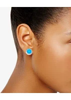 Silver Tone Blue Stud Earrings