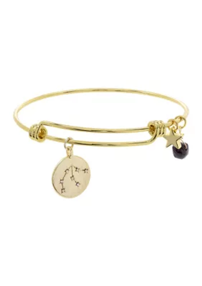 Zodiac Adjustable Boxed Bracelet