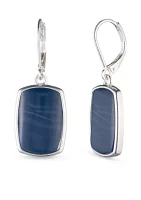 Silver-Tone Large Drop Earrings