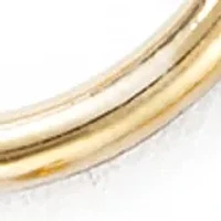 Gold Tone Small Hoop Trio Earrings