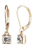 Gold Tone Stone Drop Earrings