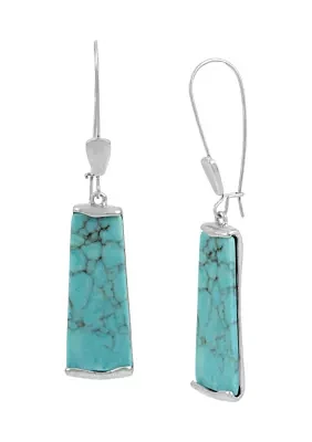 Stone Long Drop Earrings