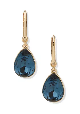 Stone Leverback Teardrop Earrings