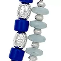 Silver Tone Two Row with Blue Bead Stations Long Necklace