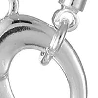 Silver Tone Carabiner Pet Themed Necklace with Interchangeable Charms Set