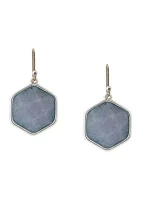 Stone Drop Earrings