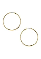 Gold-Tone Hoop Earrings