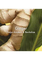 Ginger Hand & Body Lotion