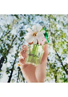 Daisy Wild Eau de Parfum