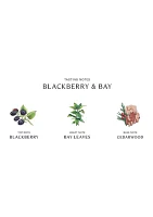 Blackberry & Bay Home Candle