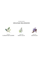 Orange Blossom Body & Hand Lotion