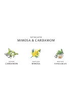 Mimosa & Cardamom Home Candle