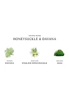 Honeysuckle & Davana Home Candle