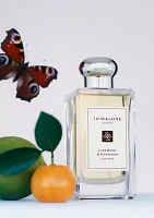 Lime Basil Mandarin Cologne