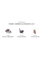 Dark Amber Ginger Lily Cologne - Intense