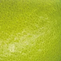 Lime Basil & Mandarin Soap