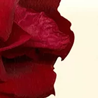 Red Roses Soap