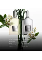 Grey Vetiver Parfum