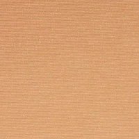 Bronzing Powder Soleil Cuivre 02