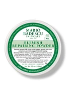 Blemish Repairing Powder