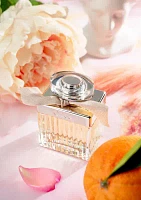 Ladies Eau de Parfum Spray 