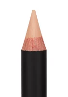 Pro Pencil