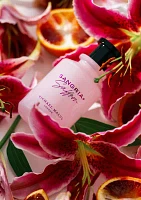 Sangria Saffron Eau de Parfum