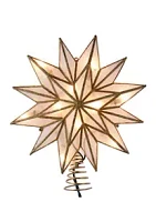 Kurt S. Adler 12 Point Gold Capiz Star Treetop