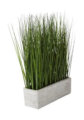 Rectangular Potted Grass