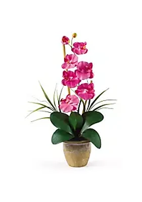 Nearly Natural Phalaenopsis Silk Orchid Flower Arrangement