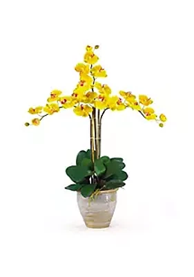 Nearly Natural Triple Phalaenopsis Silk Orchid Flower Arrangement