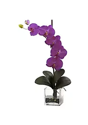 Nearly Natural Giant Phalaenopsis Orchid with Vase Arrangement