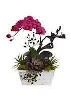 Nearly Natural Orchid and Succulent Garden with White Wash Planter
