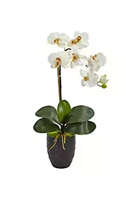 Nearly Natural Phalaenopsis Orchid in Black Vase