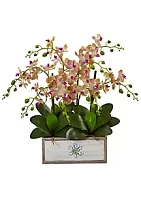 Nearly Natural Phalaenopsis Orchid Arrangement in Decorative Wood Planter