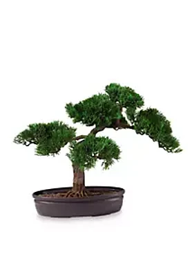 Nearly Natural -in. Cedar Bonsai Silk Plant