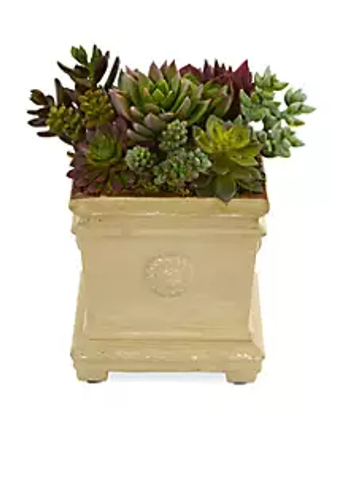 Nearly Natural Mixed Succulent Artificial Plant