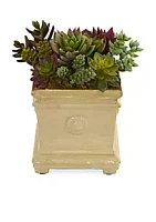 Nearly Natural Mixed Succulent Artificial Plant