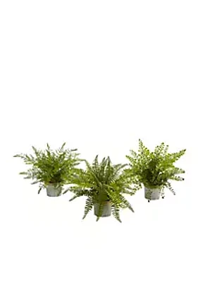 Nearly Natural Assorted Ferns with Planter  Plant - Set of 3
