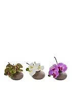 Nearly Natural Phalaenopsis Orchid Artificial Arrangement, Set of 3