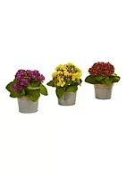 Nearly Natural Kalanchoe Artificial Arrangements (Set of 3)