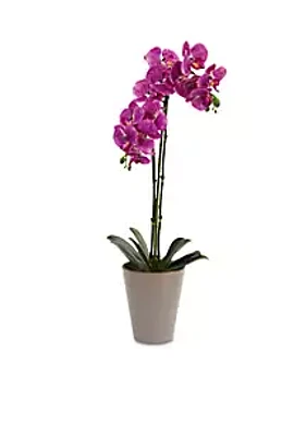 Nearly Natural Speckled Phalaenopsis Orchid Artificial Arrangement