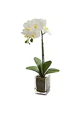 Nearly Natural 24-Inch Orchid Phalaenopsis Artificial Arrangement in Vase