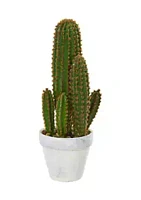 Nearly Natural Cactus Succulent Plant