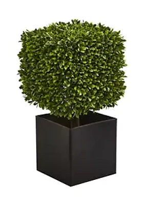 Nearly Natural Boxwood Plant in Black Planter Indoor/Outdoor
