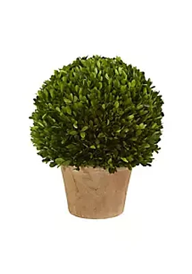 Nearly Natural 15-Inch Boxwood Ball Preserved Plant in Planter