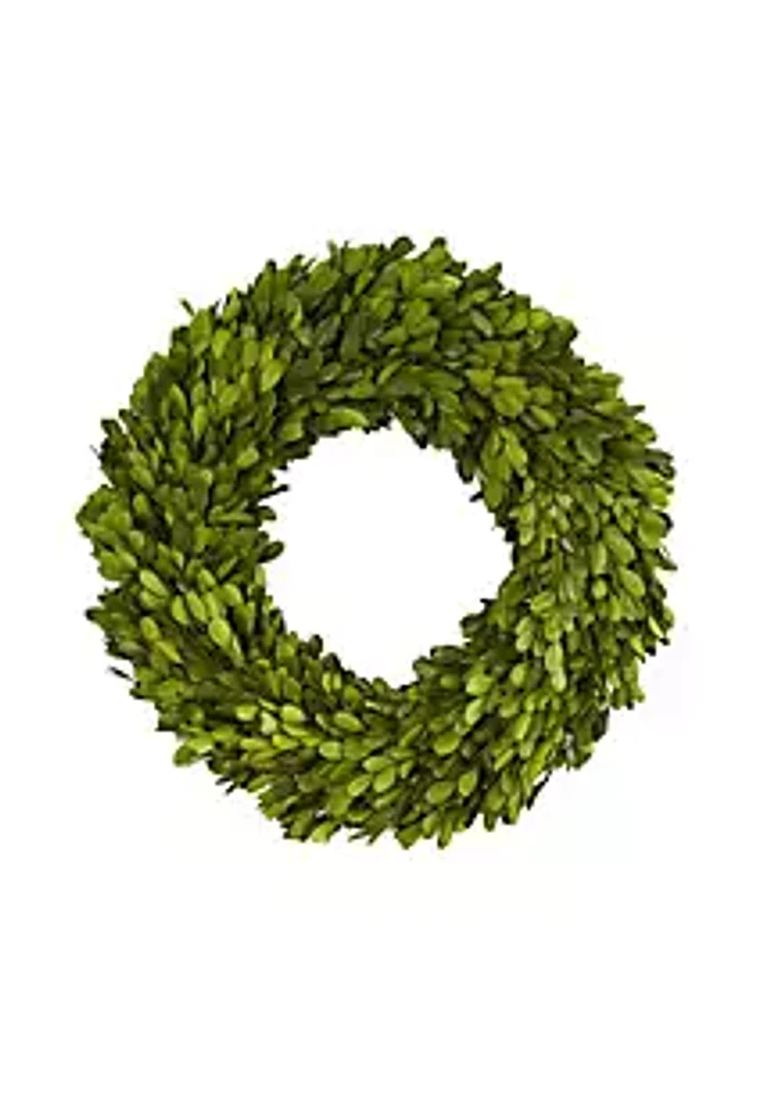 Nearly Natural 14-Inch Preserved Boxwood Wreath