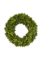 Nearly Natural 14-Inch Preserved Boxwood Wreath