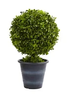 Nearly Natural Boxwood Ball Topiary