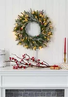 Nearly Natural Snowed Christmas Wreath with Pine Cones